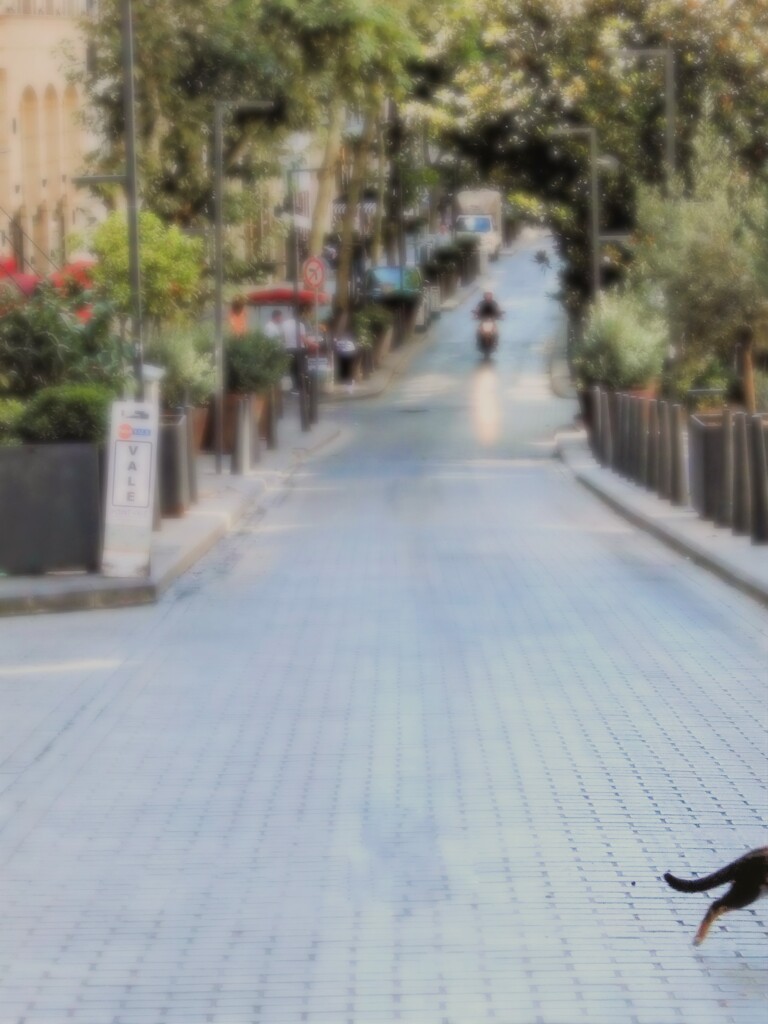 善は急げ…！♪