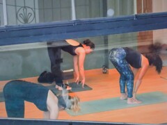 ニャンにゃん　エアロビクス教室～　にゃんストレッチ指導中～