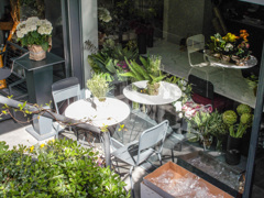 開店前の花屋さん