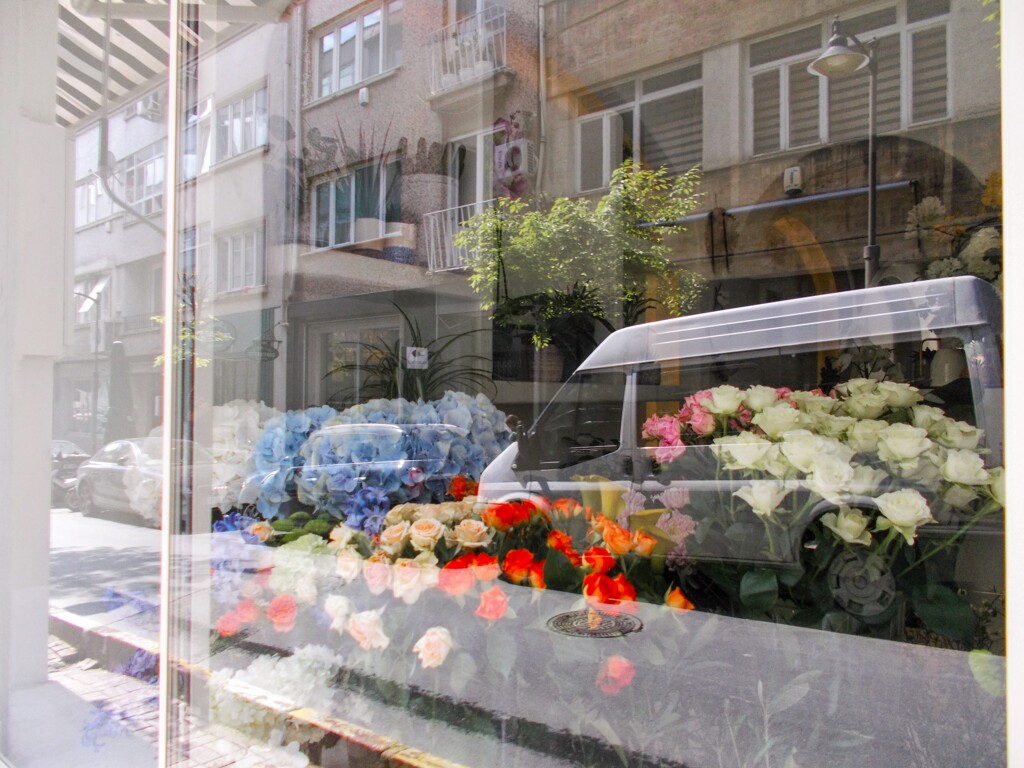 街はコロナなんかに負けない　って花いっぱいでした～