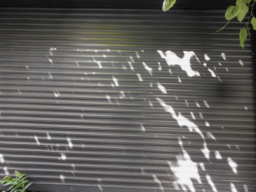 渇く…風の様に過ぎていくだけ…