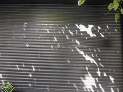 渇く…風の様に過ぎていくだけ…