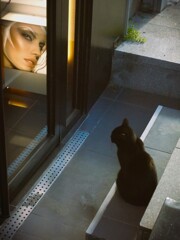 Black cats ～★★～