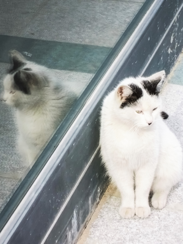 思わず　”福ちゃん”　って～