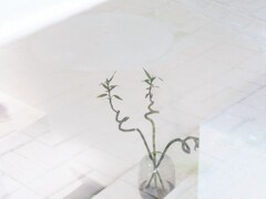 アパシー・・・