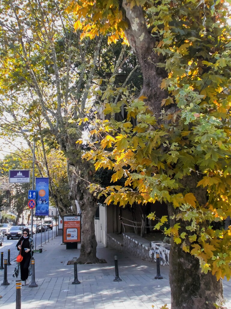 夏の落し物が思い出せない９月…