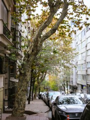 外は木枯らし～