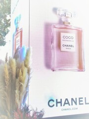 頭の中はいつも14の時のまま～～