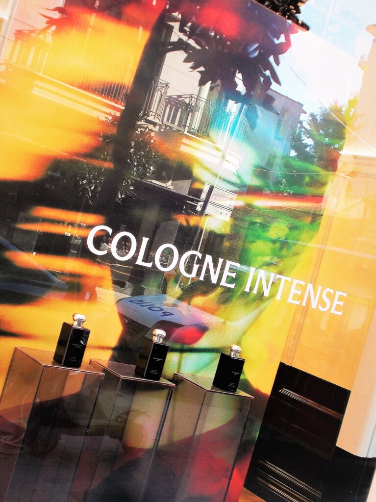 散らしてしまえば…それまでの事…