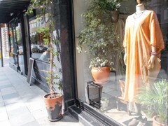 夏　ショーウィンド―＊✨＊