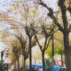 冬の休眠準備の街路樹達…