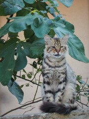 戦い抜いて来た半生～☆♡