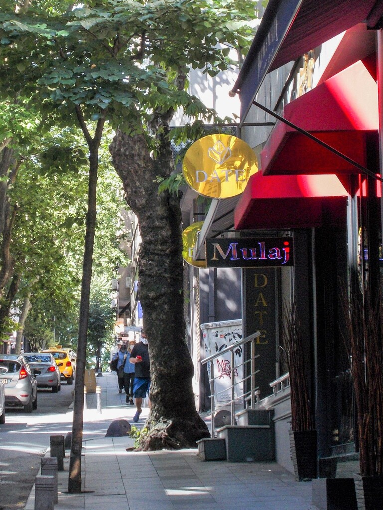 朝の通り～～☆