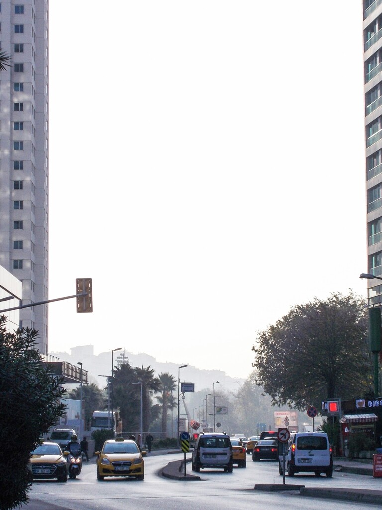 毎朝　行ってきます…