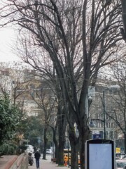 通る度に思う　”サイモンとガーファンクル的”って～