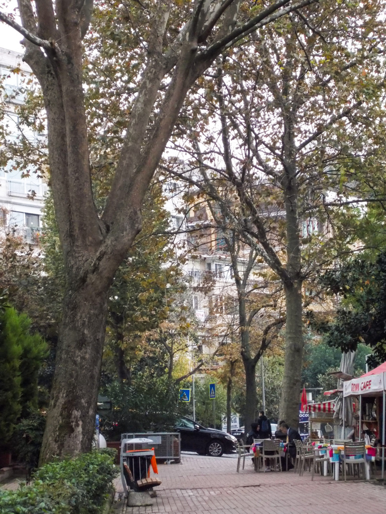 ベンチさんの待ち人来ず…