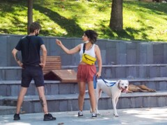 犬も食わない・・・～