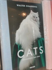 (ボケボケでも）　何とゴージャスな…！☆！