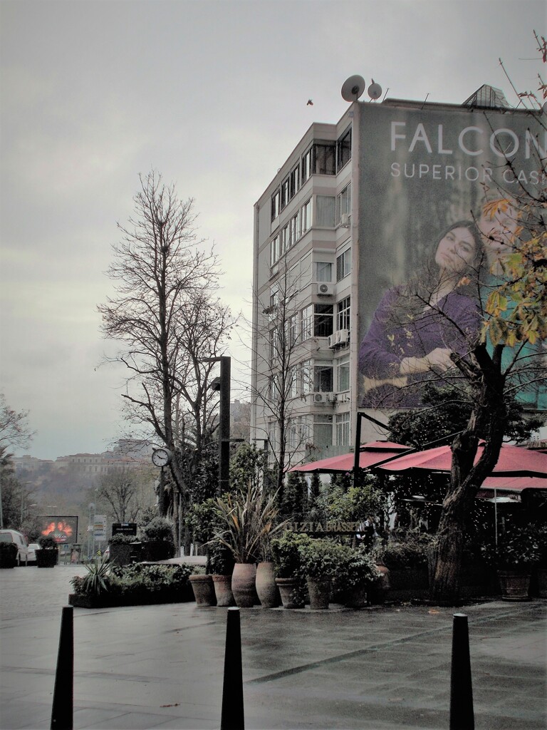冷たい…霧雨の日曜日…