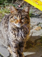 緊張の…？　片側チ～ズ…？