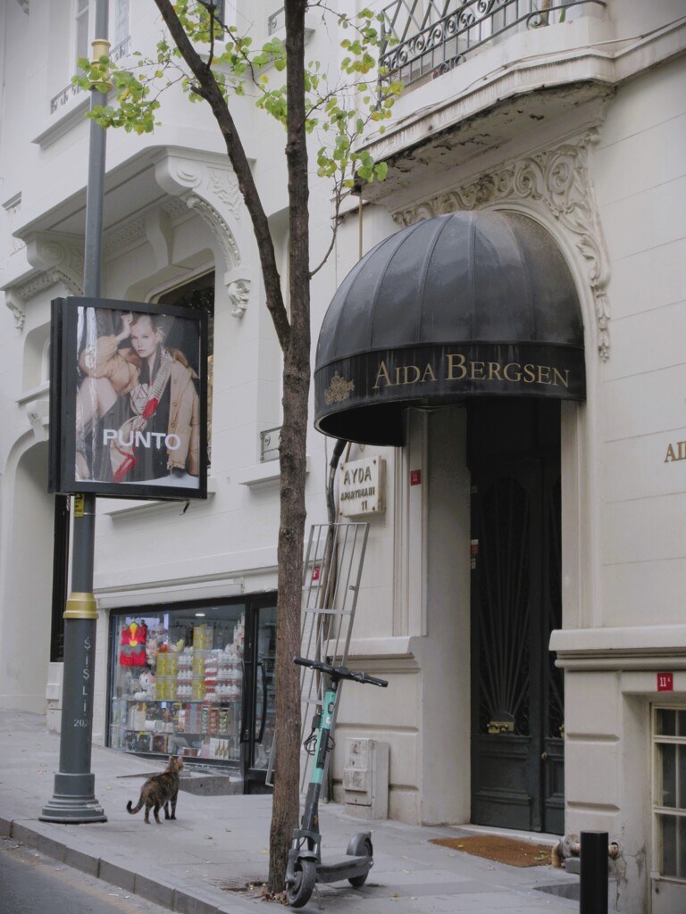 猫が佇んでた坂道…