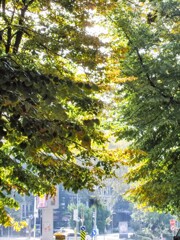 また君に恋してる～今までよりも～～♪