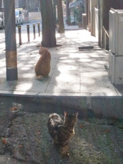 親の背を見て・・・