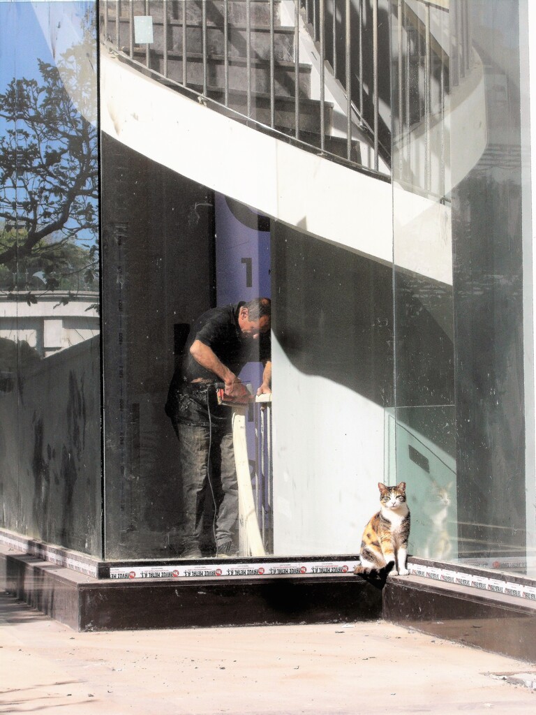 キラキラにゃんとお仕事中のおじちゃん～☆