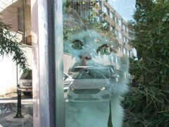 cat～２