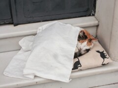 ～好い子の住んでる好い町は～♬