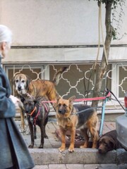 どっちとも探り合い～？～