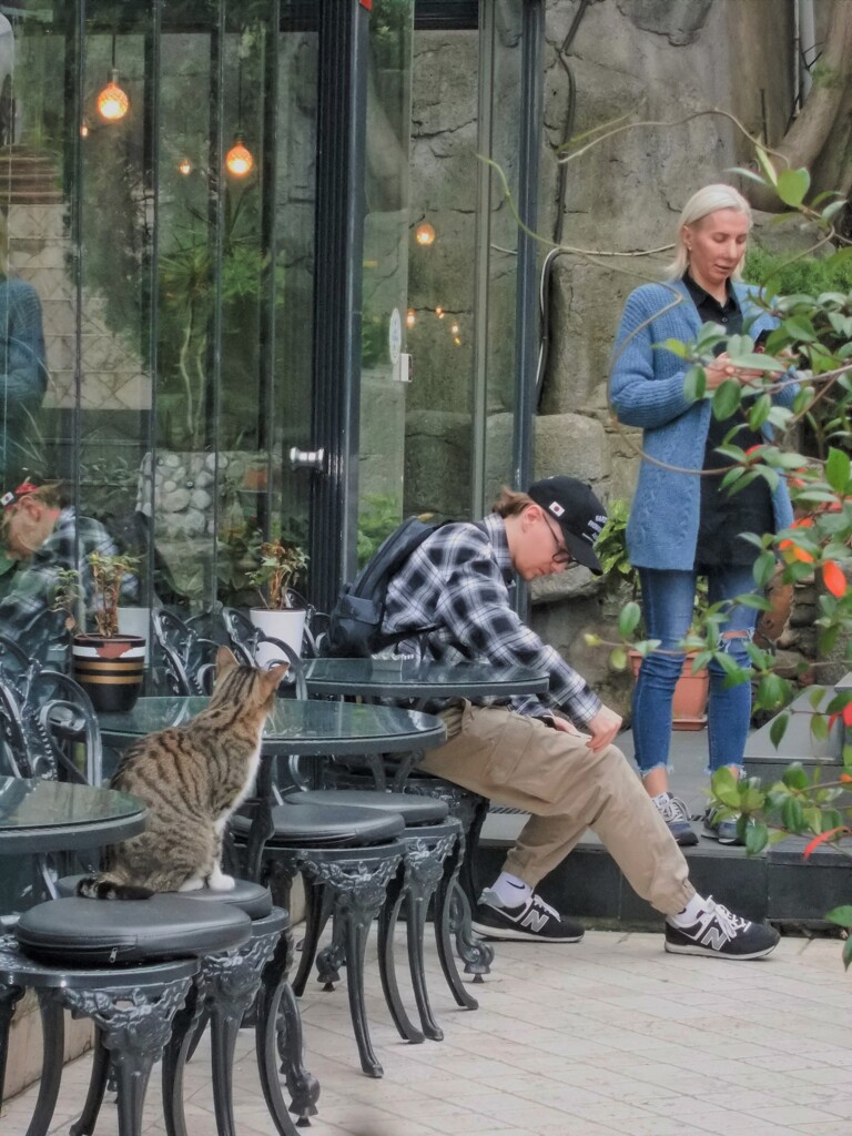 ヒュウマンが気にニャって　気にニャって～.。o○