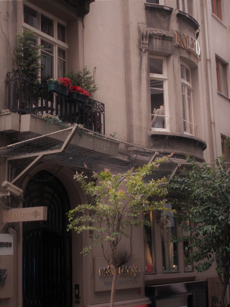 紅い花が咲いていた…