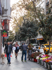 朝の通り　皆それぞれ・・・