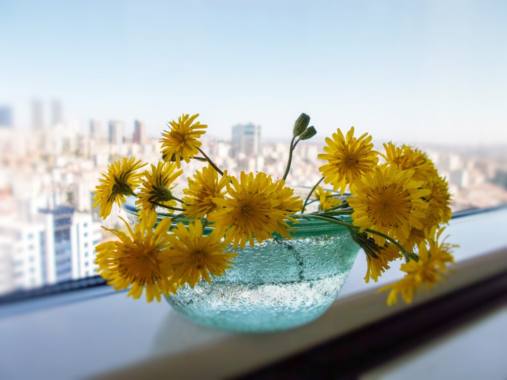 願いを込めて　家へのお土産～☆♡