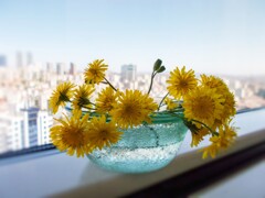 願いを込めて　家へのお土産～☆♡