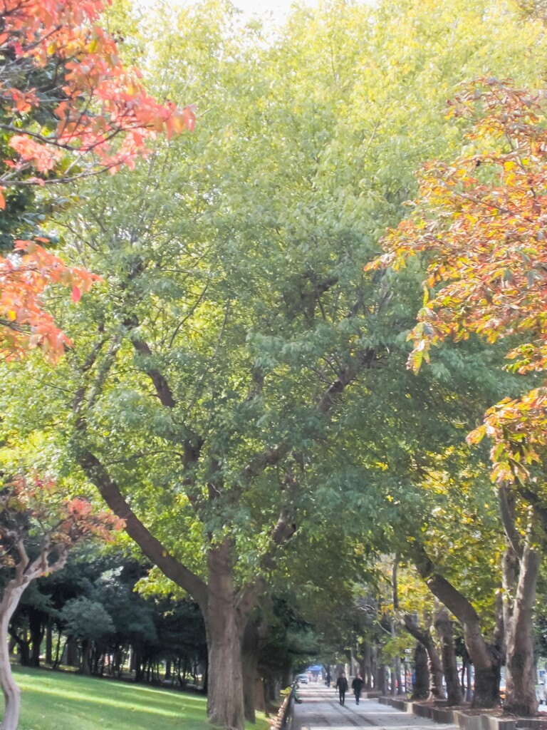 プレリュード～　染まる秋色へ～