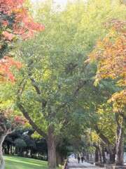 プレリュード～　染まる秋色へ～