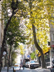 樹も　彼女も　私も…今　ここで共に生きている～♡