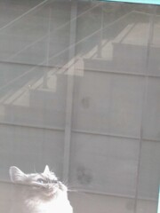 見上げる青い春のお空～～