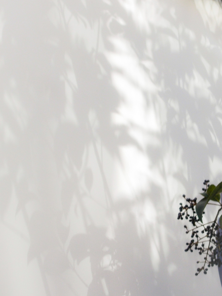 心が揺れる～～