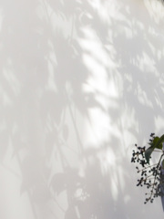 心が揺れる～～