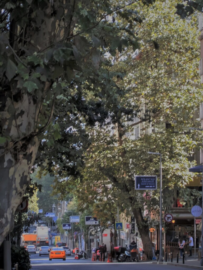 夕方～　家路～