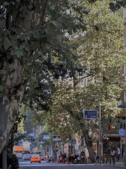 夕方～　家路～