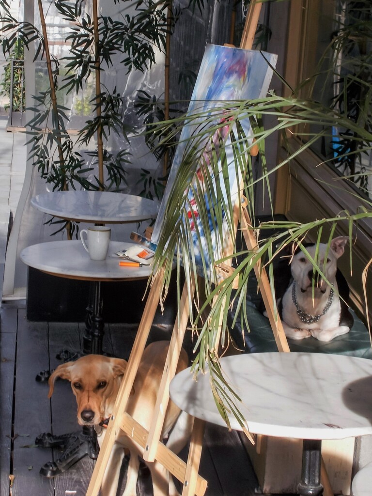 愛情いっぱい込めて選んでもらった首輪～♡