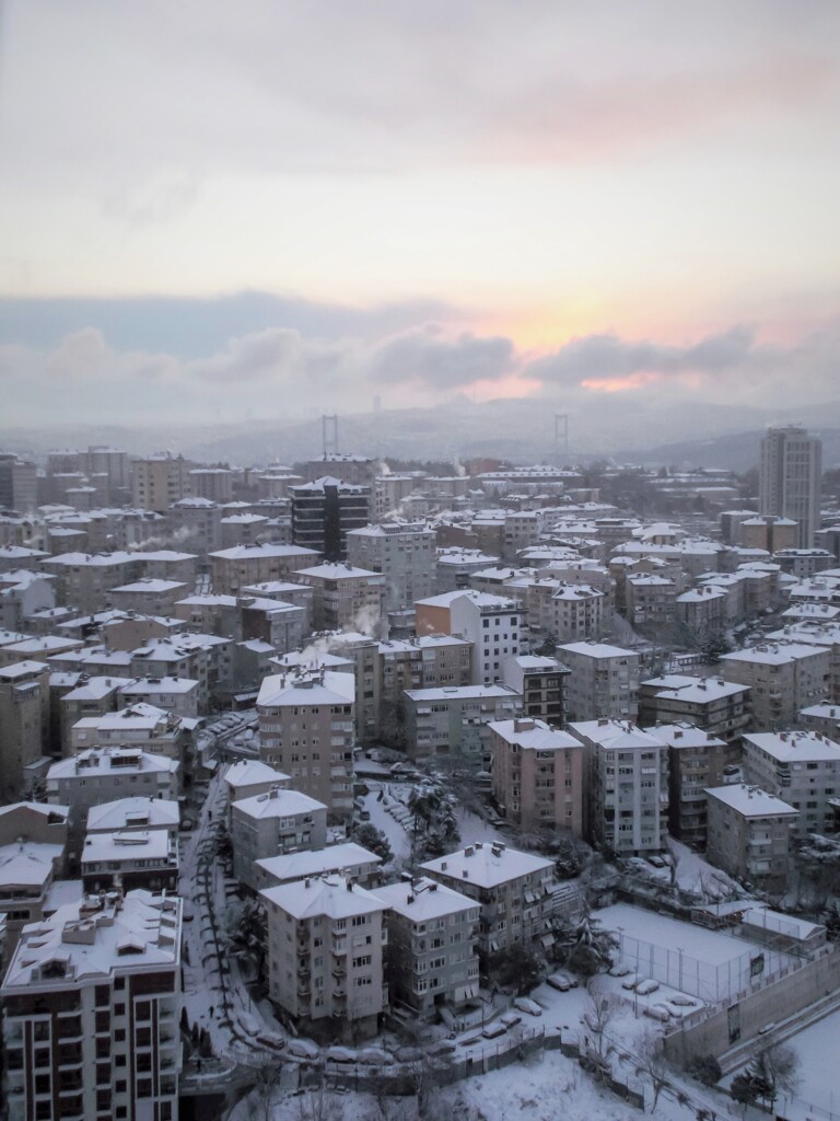 夜中に雪が降りました。。。