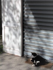 もう１っ冬を越した安堵～～