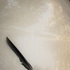 落し物…　カモメ…？カラス…？