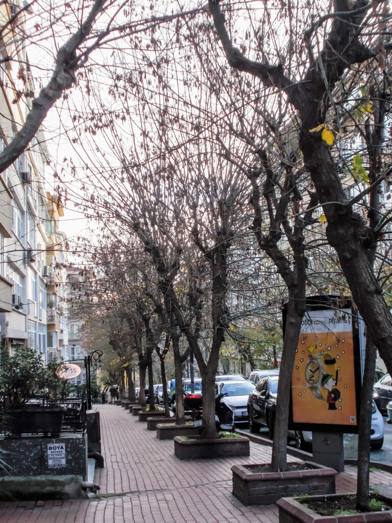 誰もいない～　まだ目覚めぬ住宅街～