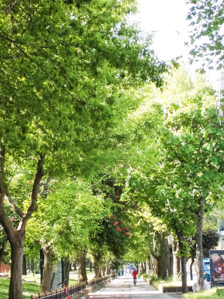 早朝ジョッキング…☆